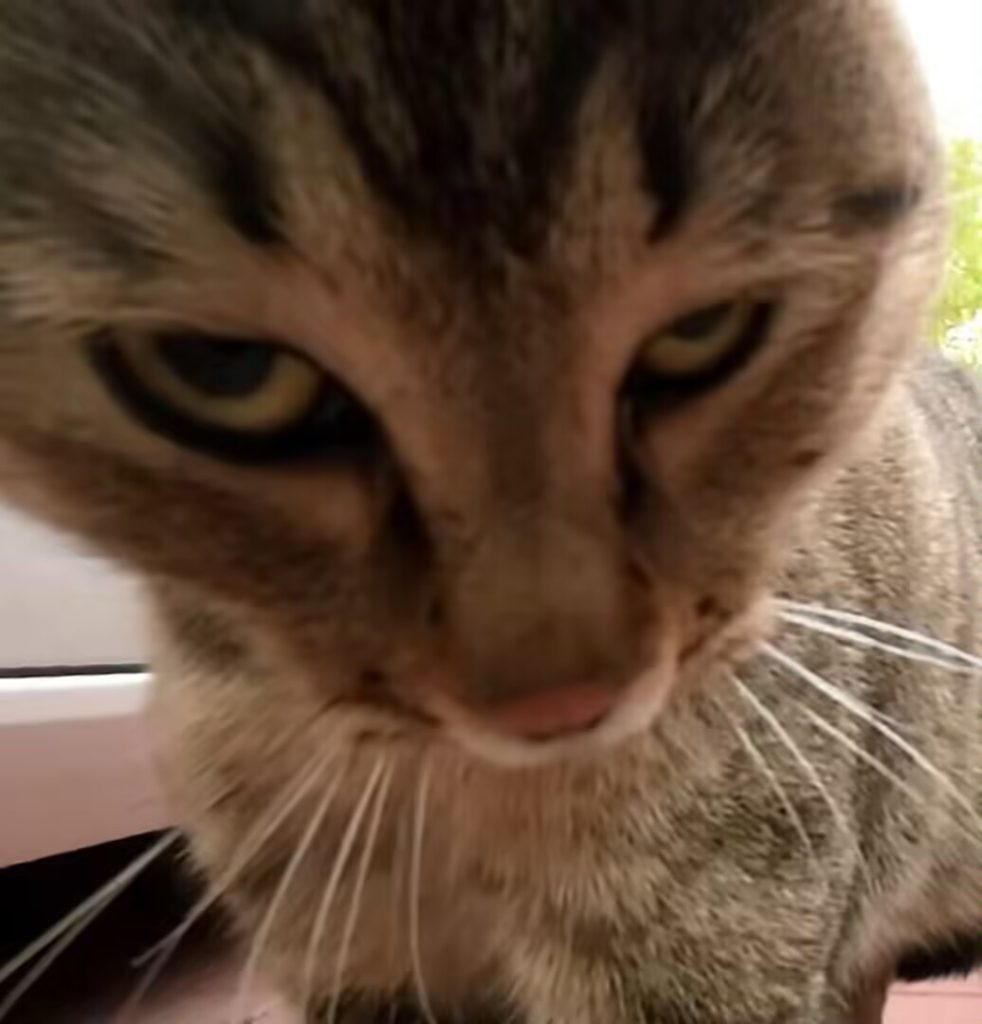 评论图片-welcome to LXstudio bbs