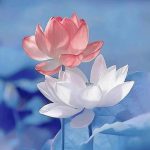 ♣️♣️♣️♣️♣️♣️的头像-welcome to LXstudio bbs