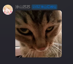 世界上最没有实力的人-welcome to LXstudio bbs